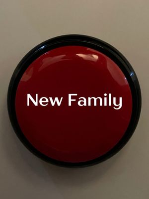 New Family's poster