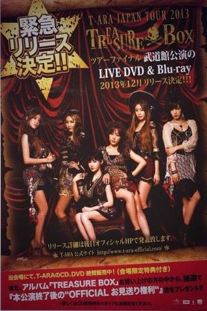 T-ARA Japan Tour 2013 - Treasure Box- 2nd TOUR FINAL In Budokan's poster