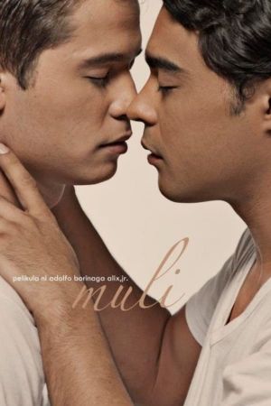 The Affair's poster