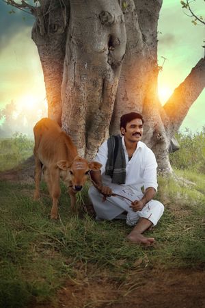 Idly Kadai's poster