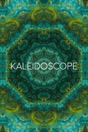 Kaleidoscope's poster