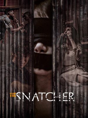 The Snatcher's poster