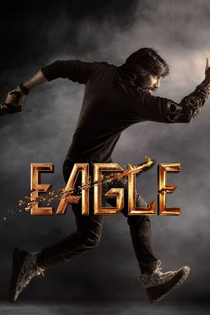 Eagle's poster