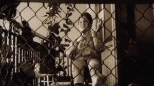 The Cage's poster