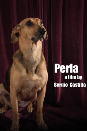 Perla: La Película's poster