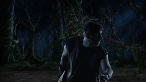 Beyond Sherwood Forest's poster