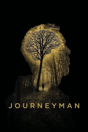 Journeyman's poster
