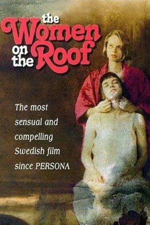 The Women on the Roof's poster image