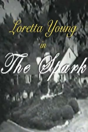The Spark's poster