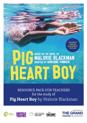 Pig Heart Boy's poster