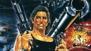 Double Target's poster