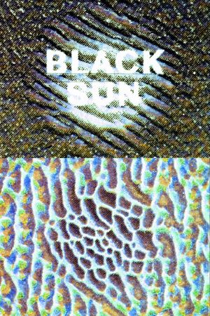 Black Sun Electro Static's poster