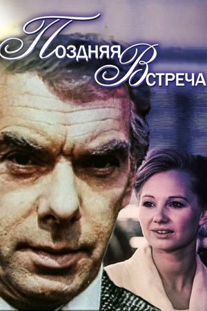 Late Meeting's poster image