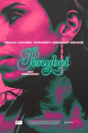 Ponyboi's poster