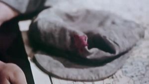 The Red Detachment of Women's poster