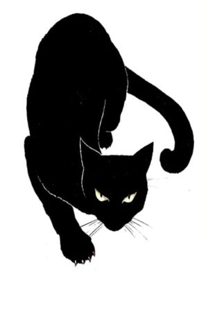 The Black Cat's poster