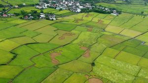 Beyond Beauty: Taiwan from Above's poster