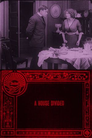 A House Divided's poster image