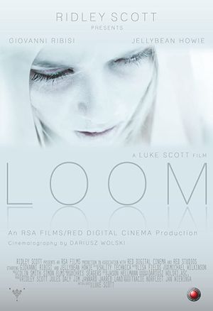 Loom's poster