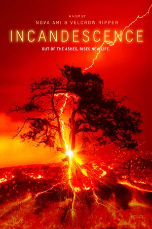 Incandescence's poster