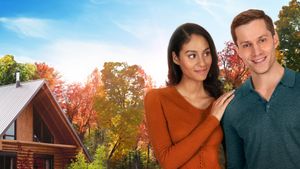 Love at Look Lodge's poster