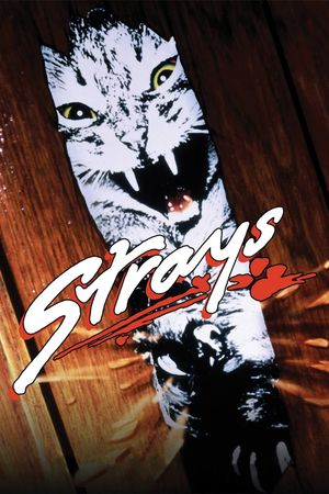 Strays's poster