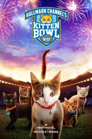 Kitten Bowl VII's poster