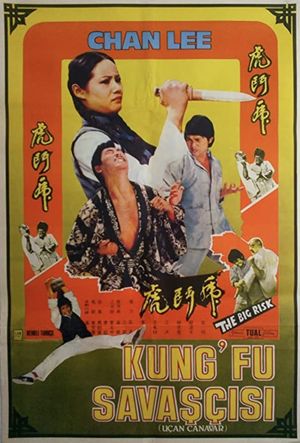 Kung Fu Conspiracy's poster