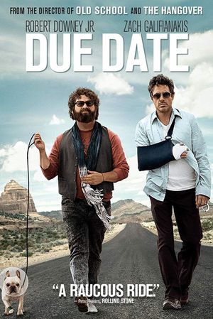 Due Date's poster