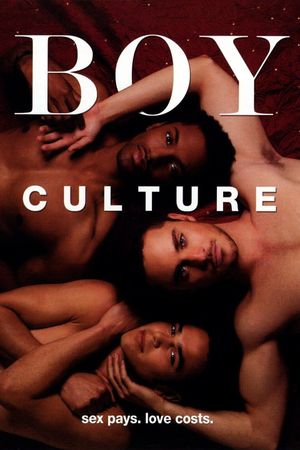Boy Culture's poster