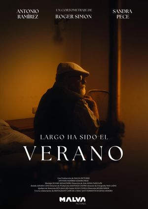 Largo ha sido el Verano's poster