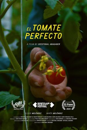 The Perfect Tomato's poster