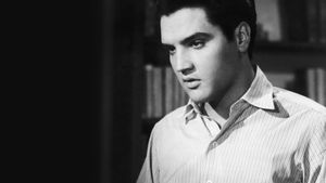 Love Me Tender's poster