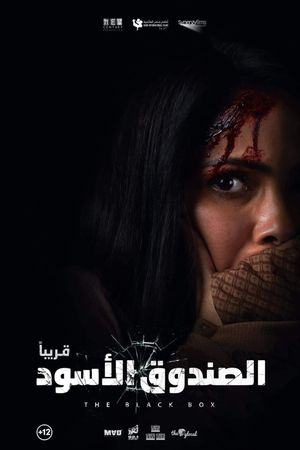 El-Sandooq el-Aswad's poster