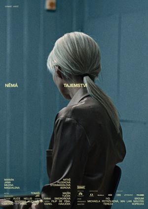 Nemá tajemství's poster