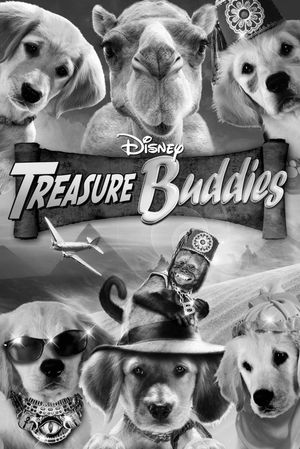 Treasure Buddies's poster