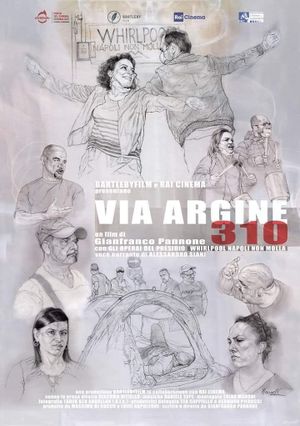 Via Argine 310's poster