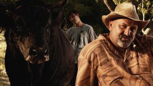 Sonja and the Bull's poster