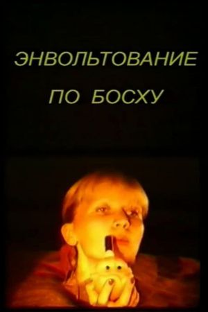 Bosch Envoltation's poster