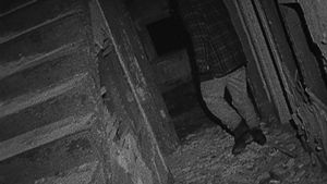 The Blair Witch Project's poster
