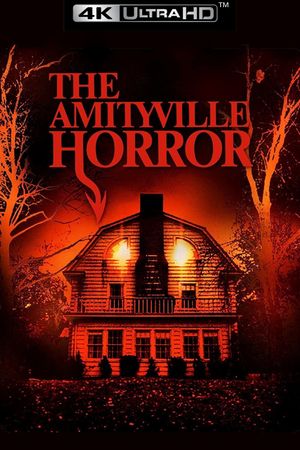 The Amityville Horror's poster