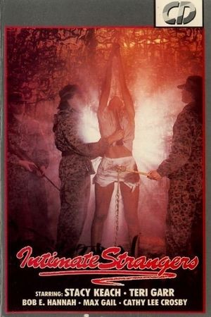 Intimate Strangers's poster