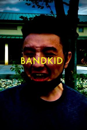Bandkid or (The Fundamental Need of  Social Acceptance)'s poster