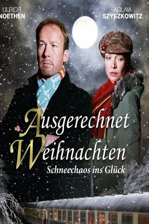 Ausgerechnet Weihnachten's poster