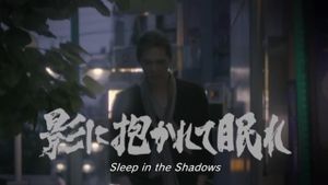 Sleep in the Shadows's poster