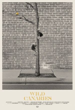 Wild Canaries's poster