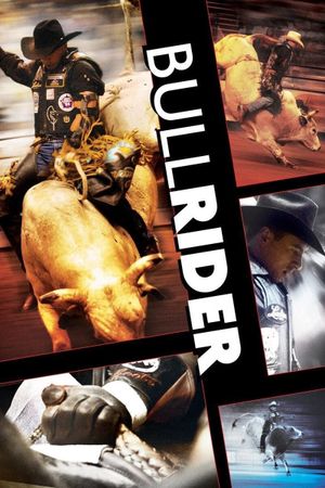 Bullrider's poster