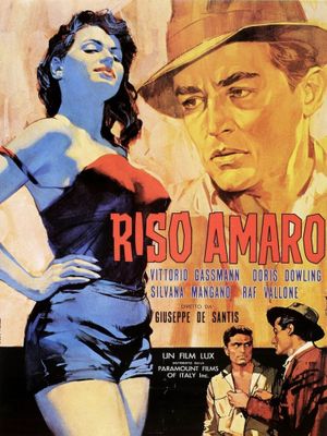 Bitter Rice's poster