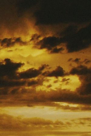 Petrichor's poster