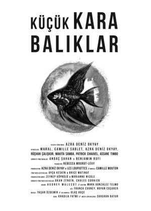 Little Black Fishes's poster